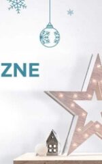 dekoracje-swiateczne-castorama