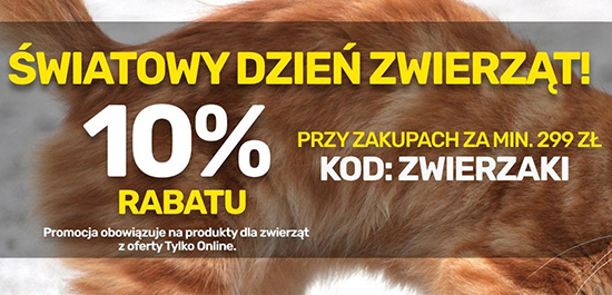 Rabaty na produkty dla zwierząt Bricomarche