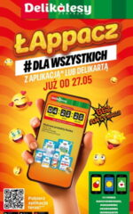 gazetka delikatesów centrum łappacz