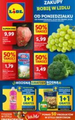 Gazetka Lidla od poniedziałku