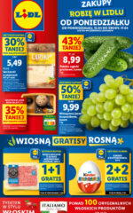 gazetka Lidl
