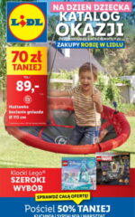 gazetka lidl dzień dziecka
