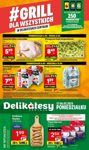 gazetka delikatesy centrum grill