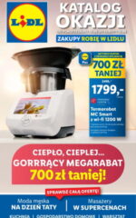 gazetka lidl katalog okazji