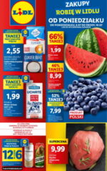 gazetka lidl od poniedziałku 8 07