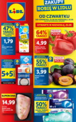 Gazetka promocyjna Lidl od czwartku 22 08