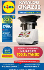 gazetka promocyjna lidl katalog okazji